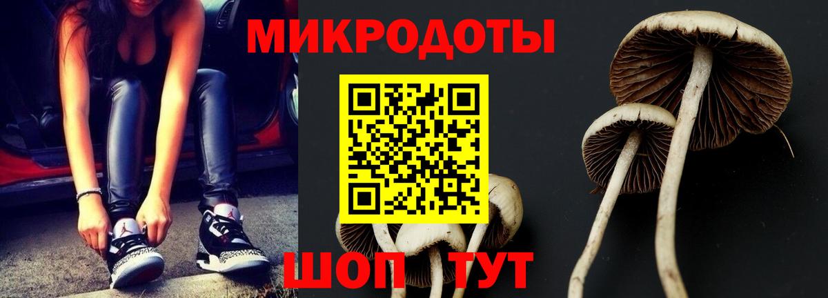 Галлюциногенные грибы Psilocybine cubensis  Вход с VPN  Белгород 